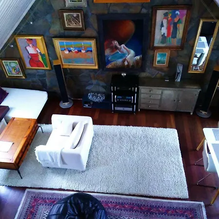 Apartment Luxury Art Penthouse