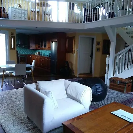 Luxury Art Penthouse דירה